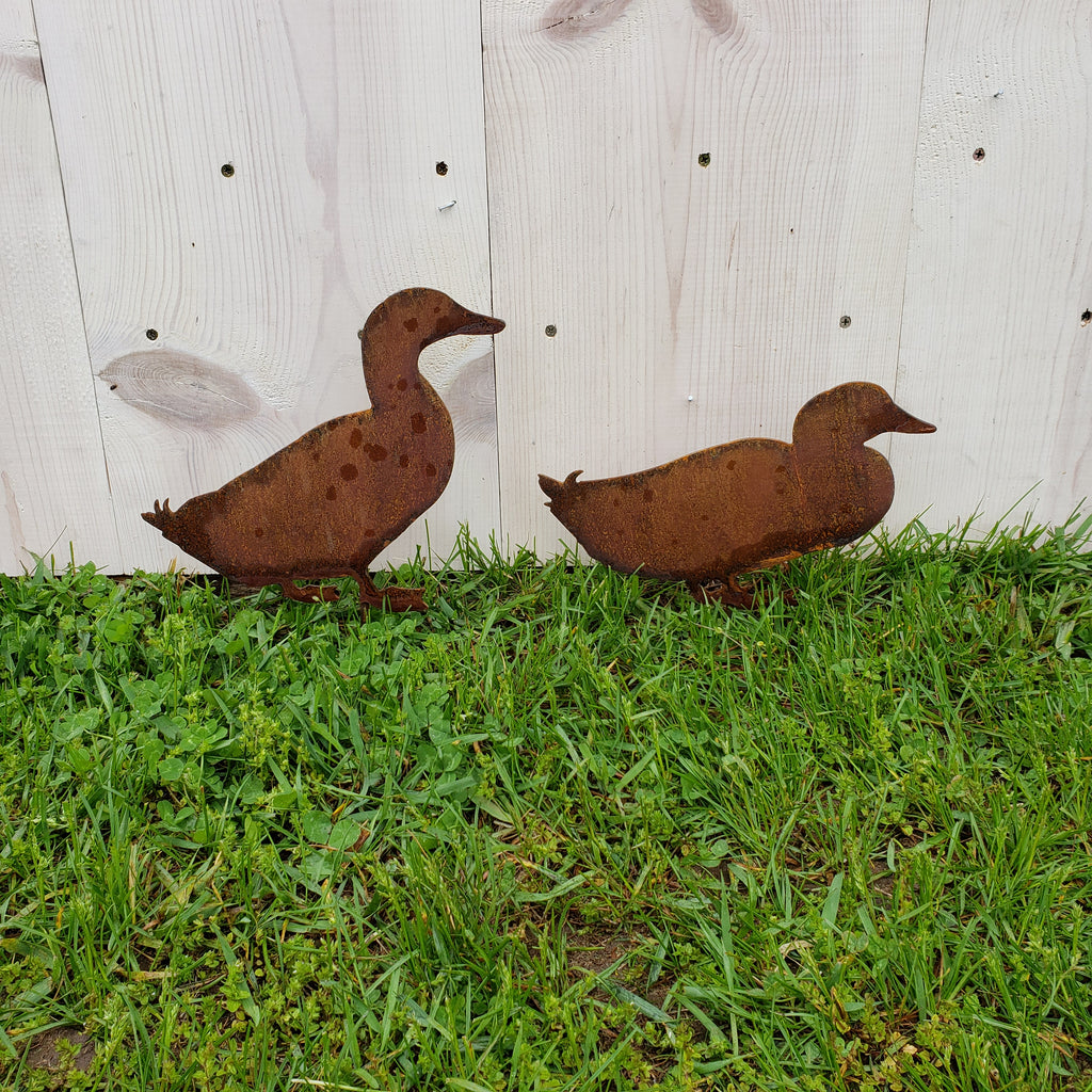 image of ducks garden decor
