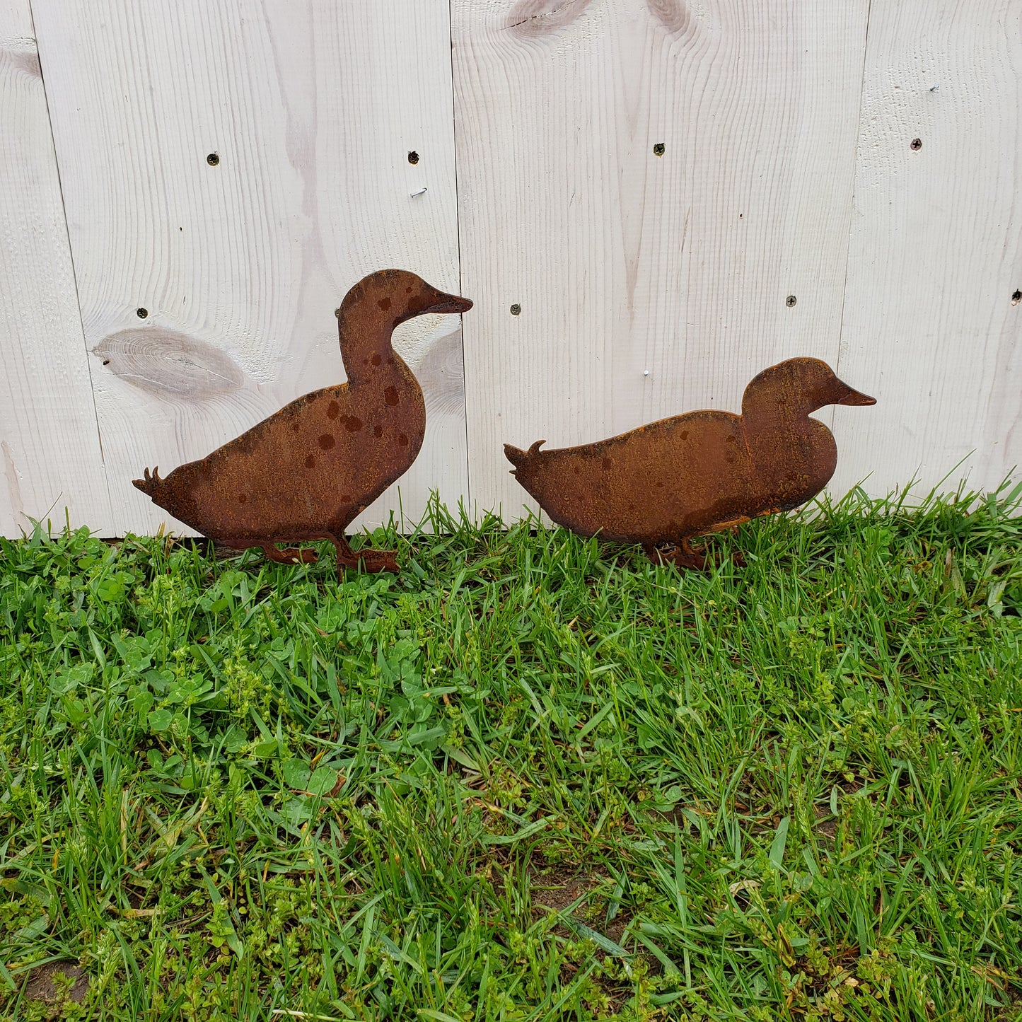 image of ducks garden decor