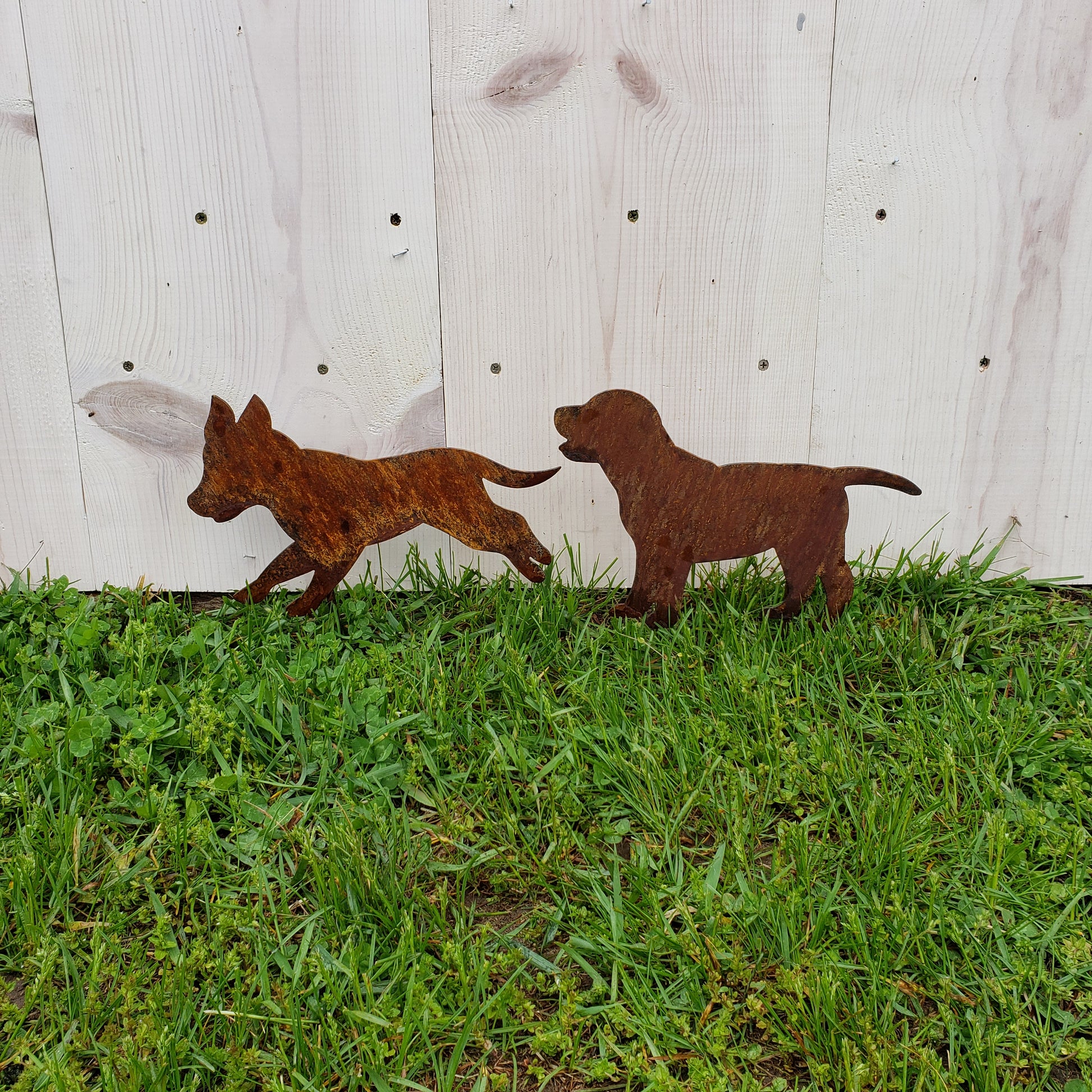 image of dogs garden decor